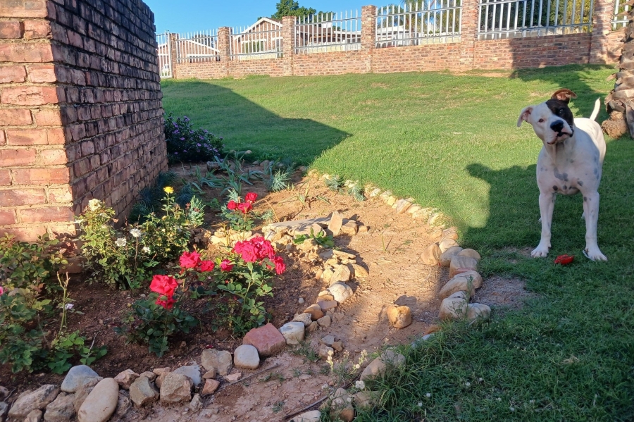3 Bedroom Property for Sale in Strelitzia Park Eastern Cape